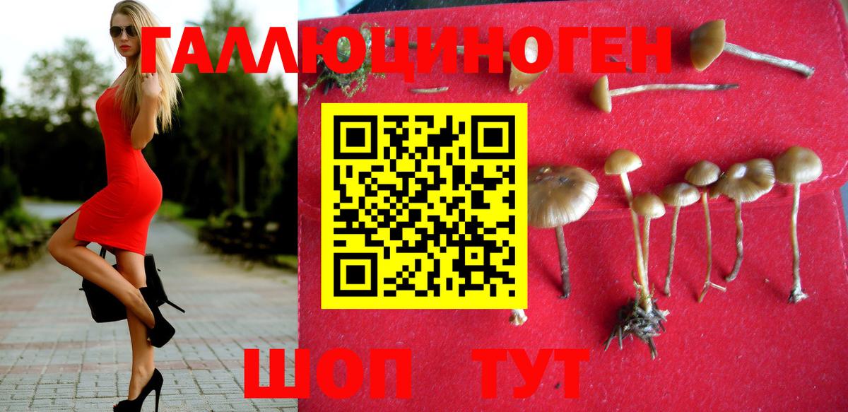 Галлюциногенные грибы Cubensis Геленджик
